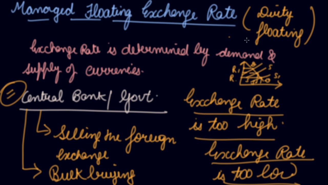 Managed Floating Exchange Rate | Class 12 Macroeconomics Balance of Payments