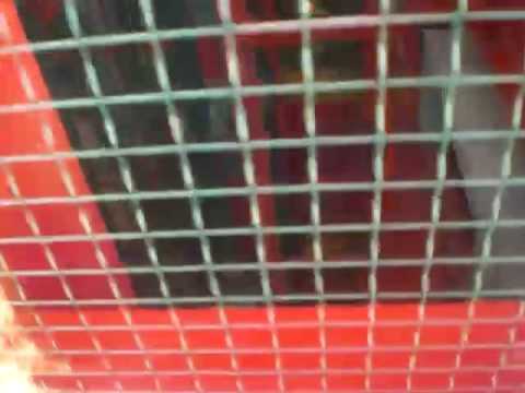 Retake of a Red KONE elevators again.