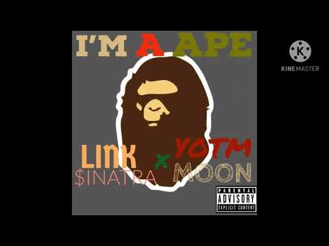 IM A APE - LINK SINATRA x YOTM MOON