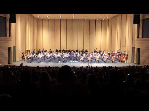 TMEA Region 18 High School Symphony Orchestra 2019