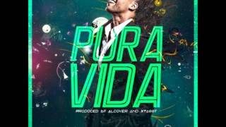 Don Omar   Pura Vida Muzik Junkies Remix