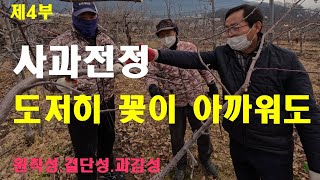 [사과전정 제4부] 어떤 마음을 먹었는가. 그것이 사실 핵심이다
