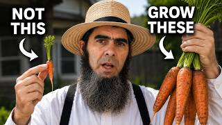 Don’t Plant Carrots Until You Watch This 🥕