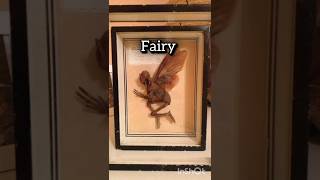 Mythical creatures caught on camera 📸 #short #ytshort