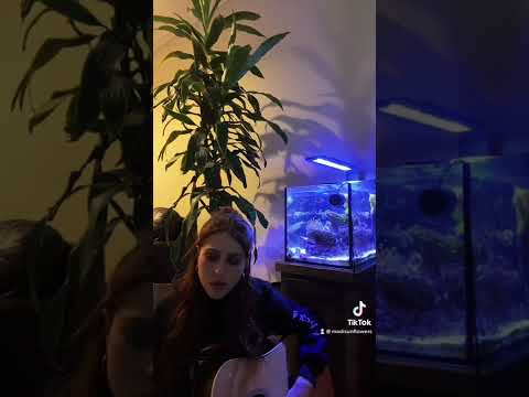 Make You Feel My Love Cover - Madison Flowers