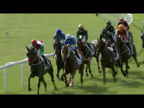 2021.08.01. 06. futam - MAGYAR KANCADÍJ (HUN Gd-2)