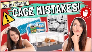 7 Common Guinea Pig Cage Mistakes to AVOID!