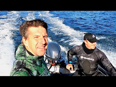 Two days spearfishing beautiful islands with@olliecraig-primalpursuit