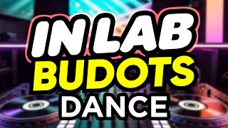 Download lagu Dj Danz - In Lab ( Budots Dance Remix ) mp3