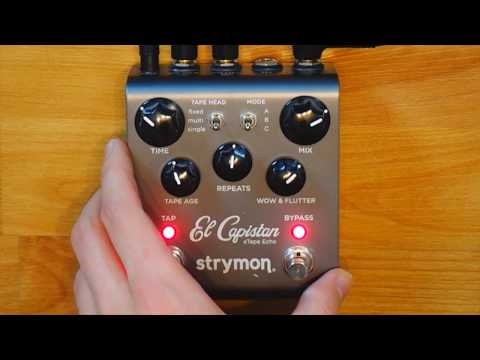 Strymon El Capistan Sound on Sound Looper [FULL Demo]