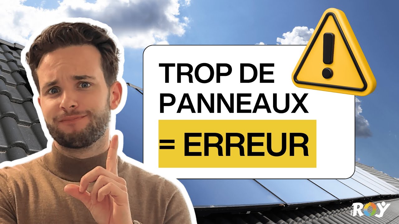 Panneau solaire au sol