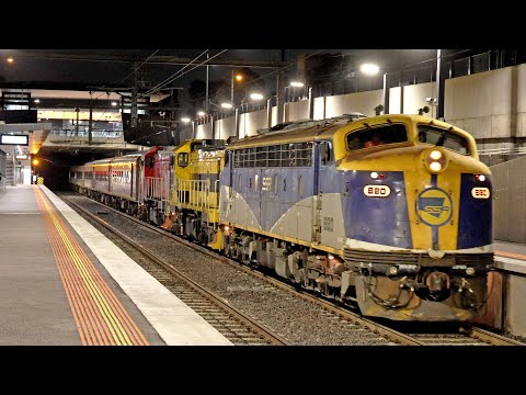 14 CAR PASSENGER TRAIN & Grain Train at Night - Ginifer Railway Station