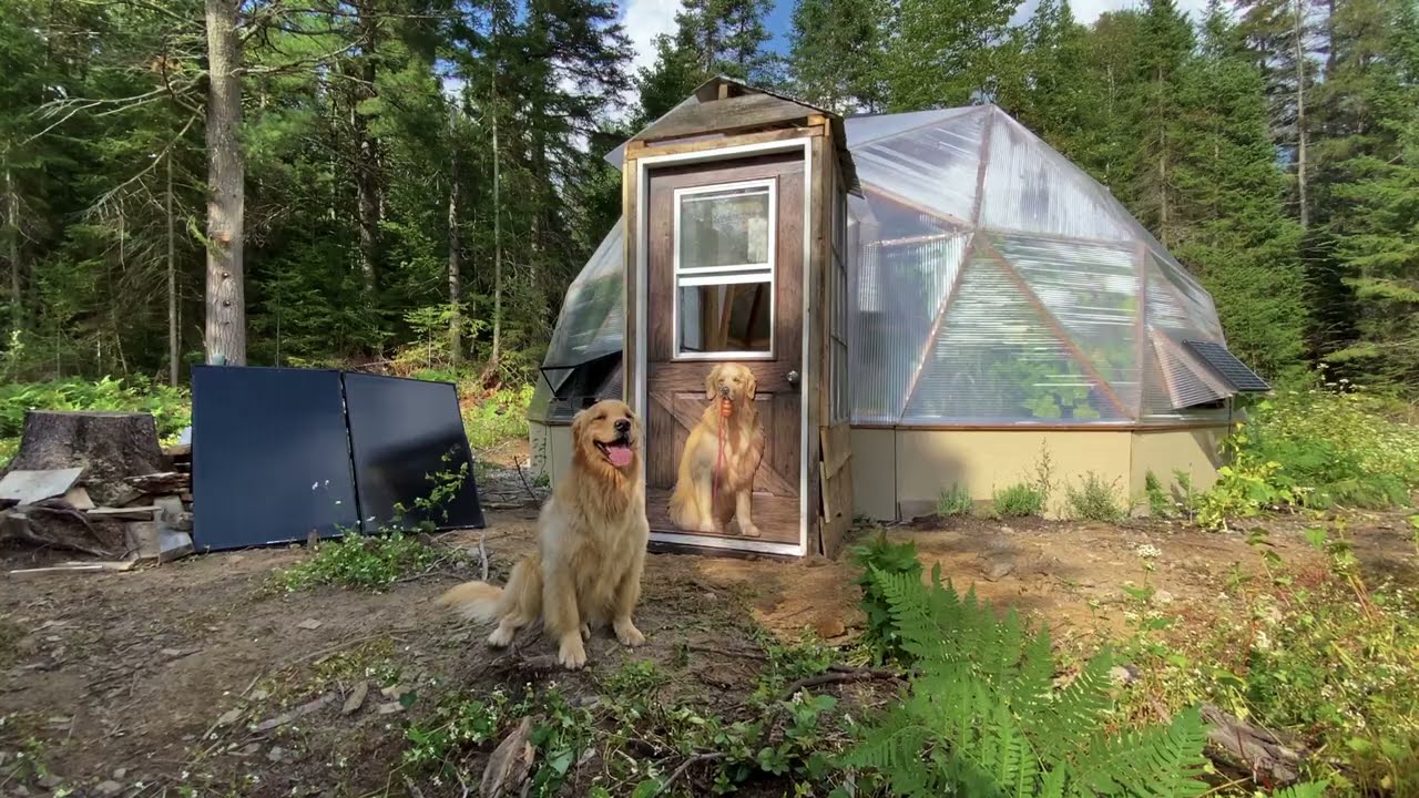 Complete Off Grid Greenhouse Build in the Forest