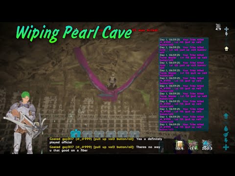 Wiping Pearl Cave | BBX Fibercraft