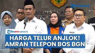Mentan Amran Gerak Cepat Telepon Bos BGN, Cari Solusi seusai Peternak Protes Harga Telur Anjlok