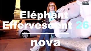 L'Eléphant Effervescent - Episode 26 • Nova