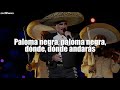 Vicente Fernández - Paloma Negra (LETRA)