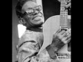 Lightnin' Hopkins-Play With Your Poodle