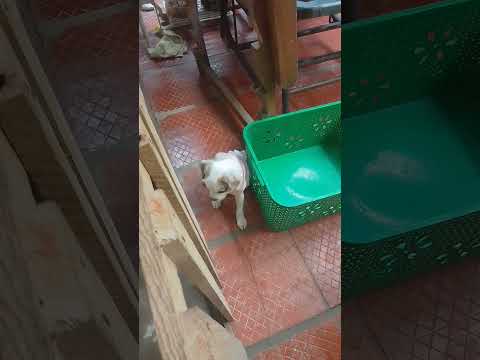 10 de noviembre de 2022