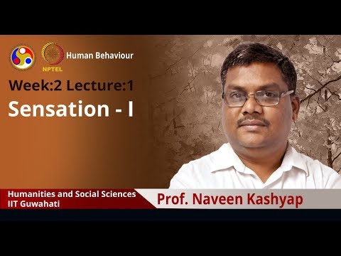 Human Behaviour Intro Video