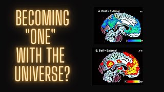 Download lagu Ilmu Saraf tentang LSD: 4 Efek Psikedelik yang Dijelaskan mp3