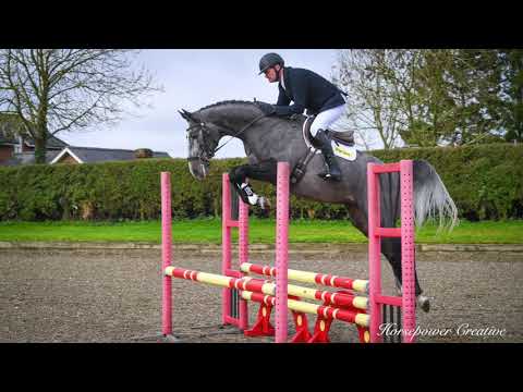 Future Hepsilon Stallion