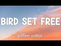 Bird Set Free - Sia (Lyrics) 🎵