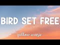 Bird Set Free Sia Lyrics