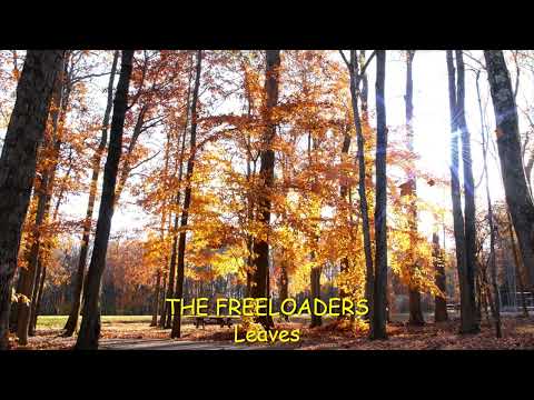 Leaves - The Freeloaders