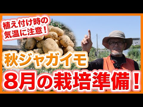 2022 年にジャガイモを植える時期 月とガーデニング 2022