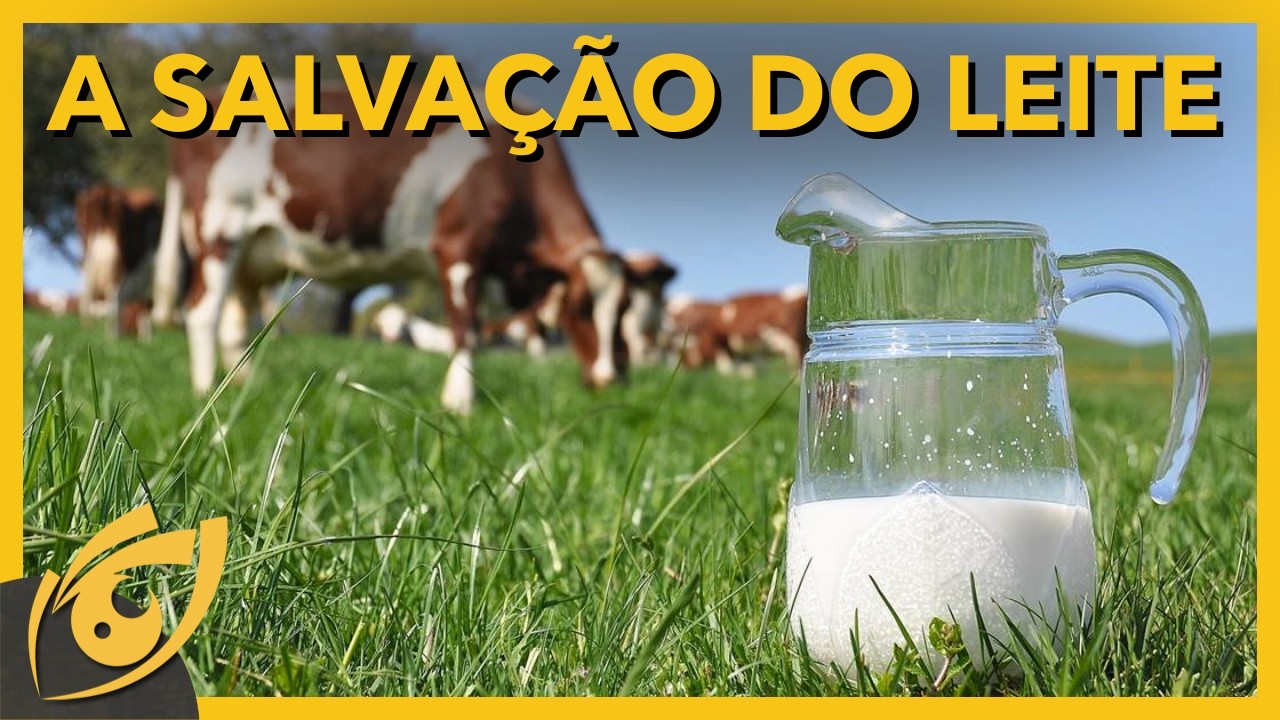 Instituto Nacional do Leite vai salvar a pecuária leiteira? A velha tentação de controlar preços!