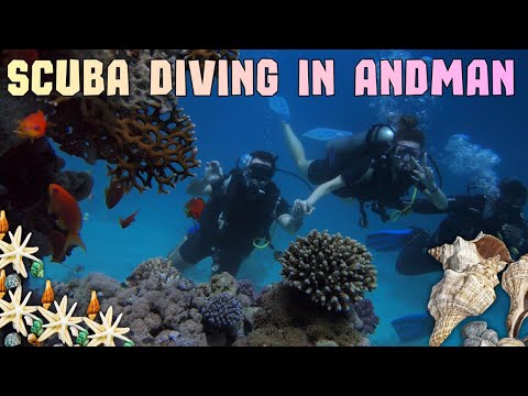 Best place for scuba diving l FULL INFORMATION I Andaman and Nicobar Island