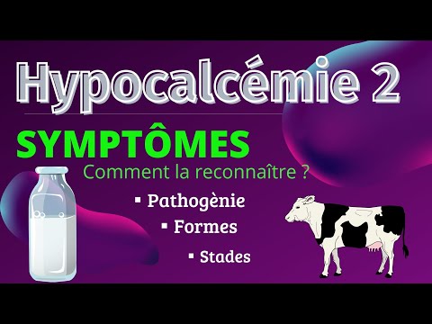 , title : 'Hypocalcémie chez la vache  2, symptômes,ses différents stades et formes, pathogènie'