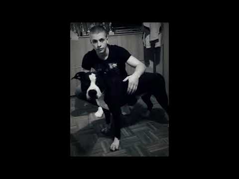 Brat PINKI - Vi ne mozete isto