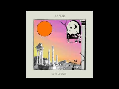 Joe Morris - Acid Safari