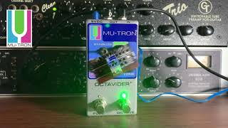 Video thumbnail for Mu-Tron Octavider+ with a Pbass by Mu Tron