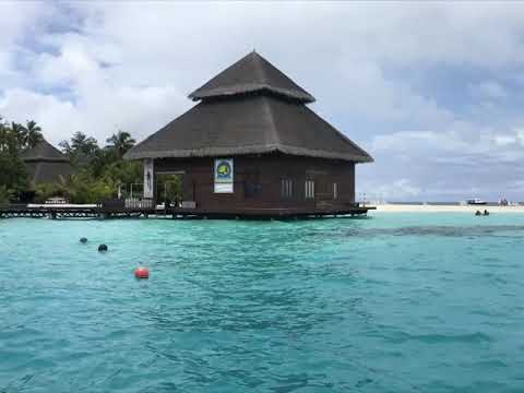 Amazing captures....😉 Nature love ❤️.... @Maldives # Best collections from our trip gallery. 😊