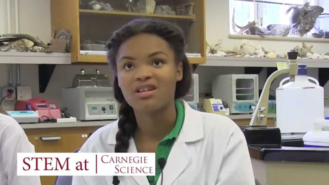 STEM Education: Kids Talk STEM at Carnegie Science