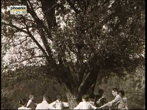 Die Zwanziger Jahre: Jugendbewegungen