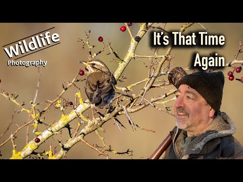Fieldfare and Redwing - UK Wildlife and Nature Photography | Canon R5