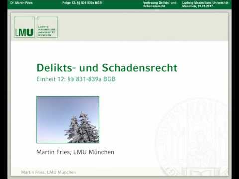 Deliktsrecht 12
