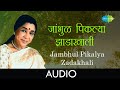 Jambhul Pikalya Zadakhali | Audio Song | जांभुळ पिकल्या झाडाखाली | Asha | Ravindra | Jait Re Jait