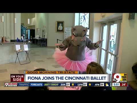 Cincinnati Zoo's Fiona joins cast of 'The Nutcracker'