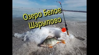Платная рыбалка фрязево бывший совхозный