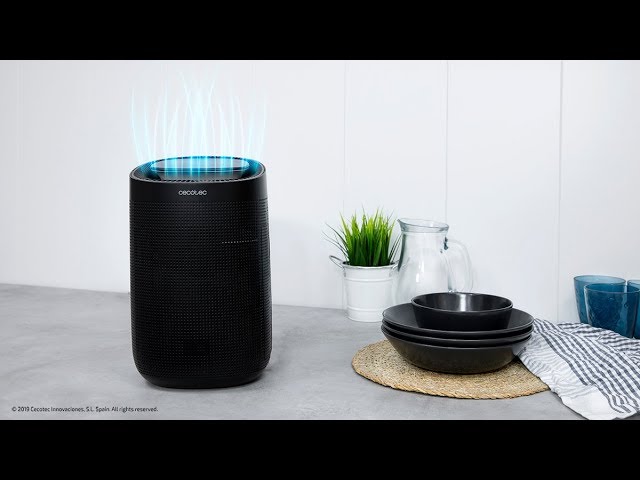 Desumidificador Cecotec BigDry 2500 Pure Light Black 1L 750ml/dia Purificador video