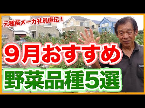  9月に菜園やバルコニーに何を植えますか？今の季節に欠かせない野菜や花々！  庭園
