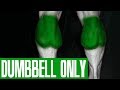 CALF WORKOUT! (DUMBBELLS ONLY!)