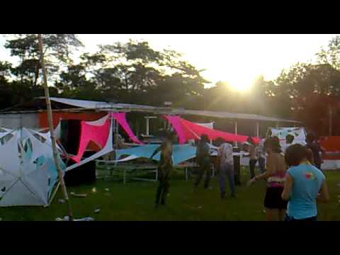 stereopanic black label vhrs