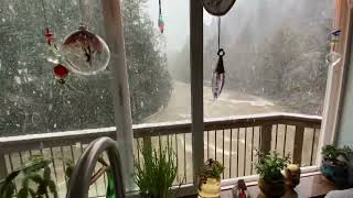 Woman Films Heavy Snowfall in Tillamook, Oregon -  1489605