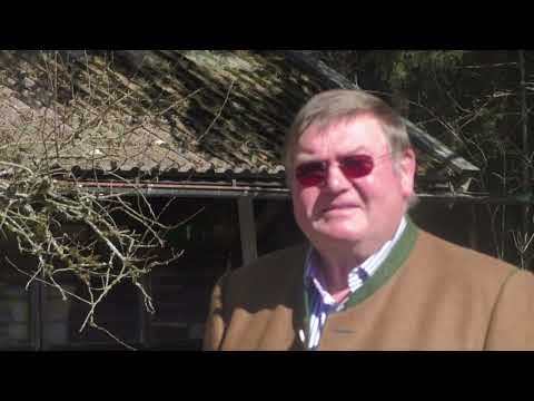 Einblick in die Imkerei und die Arbeitsweise der Bienen